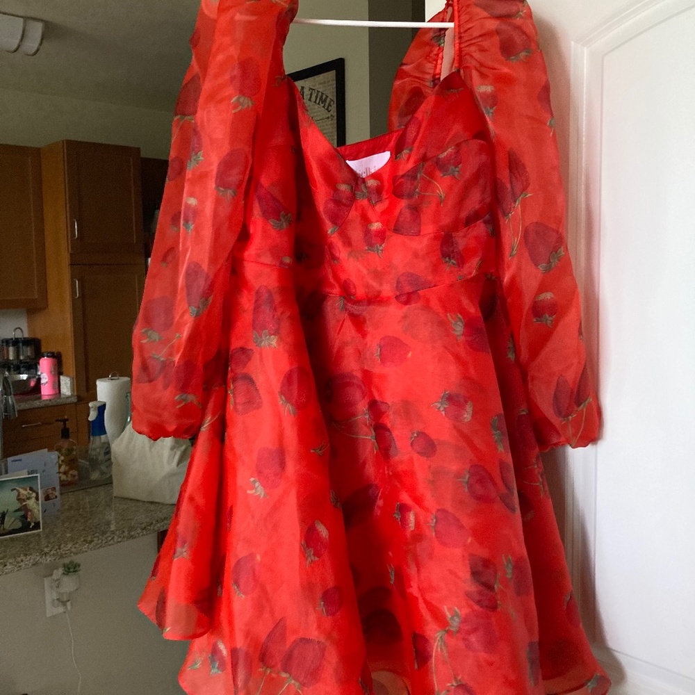 Whimsical Plus Sizes Strawberry Selkie Cocktail Dress